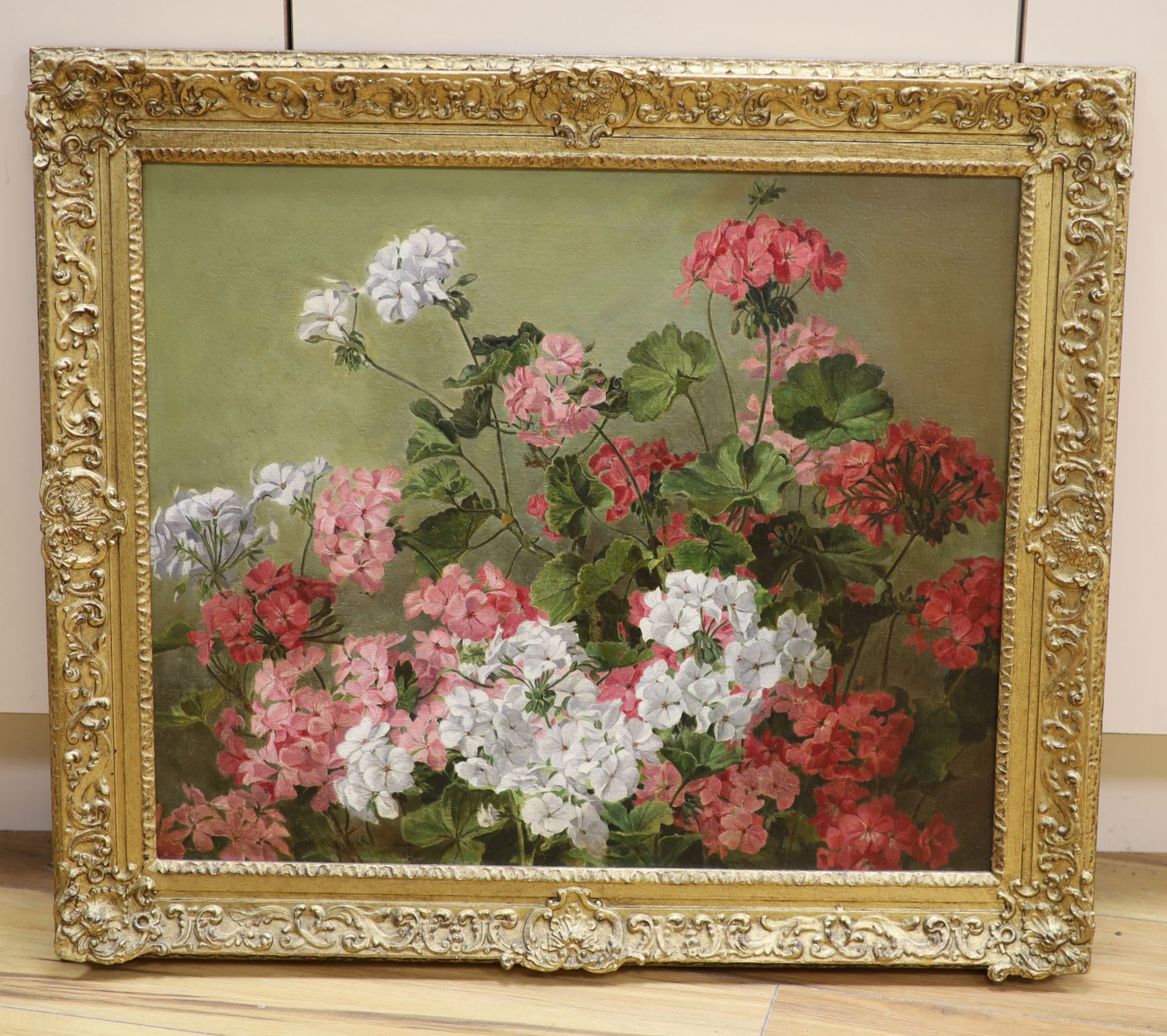 H. Wallace, oil on canvas, Still life of Geraniums, signed, 50 x 61 cm